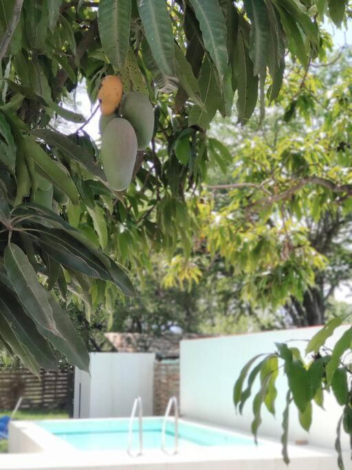 Casa Mango Amplia Con Alberca Y Cerca De La Media Luna !!! Río Verde Extérieur photo