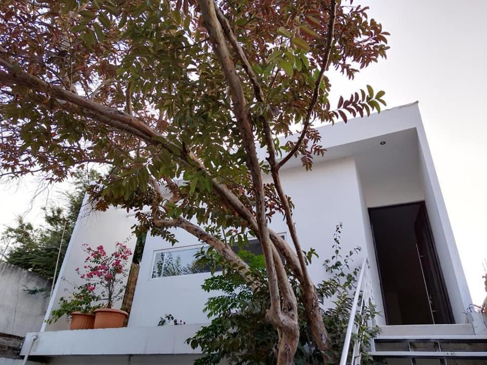 Casa Mango Amplia Con Alberca Y Cerca De La Media Luna !!! Río Verde Extérieur photo